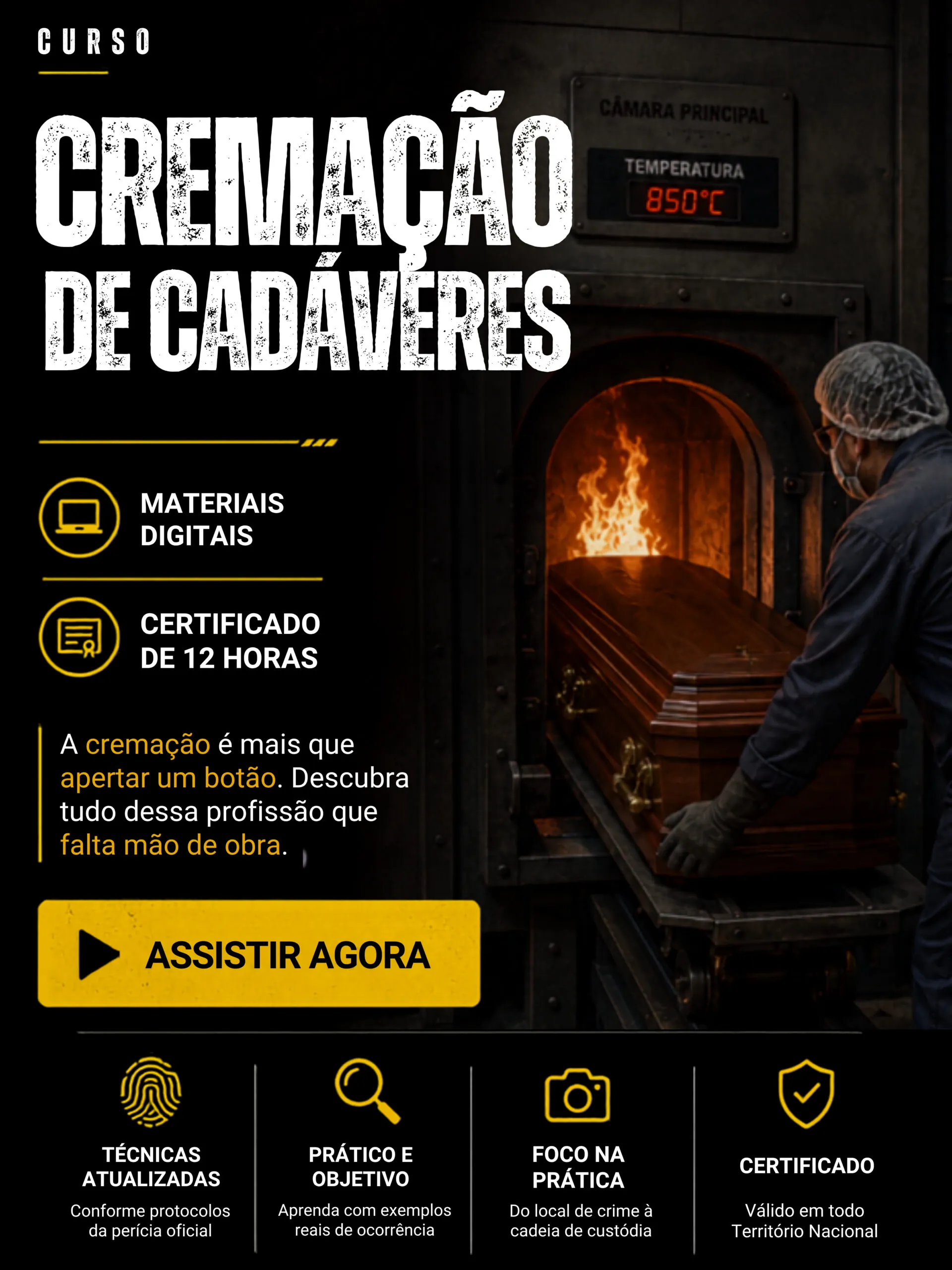 Curso 13 da biblioteca forense