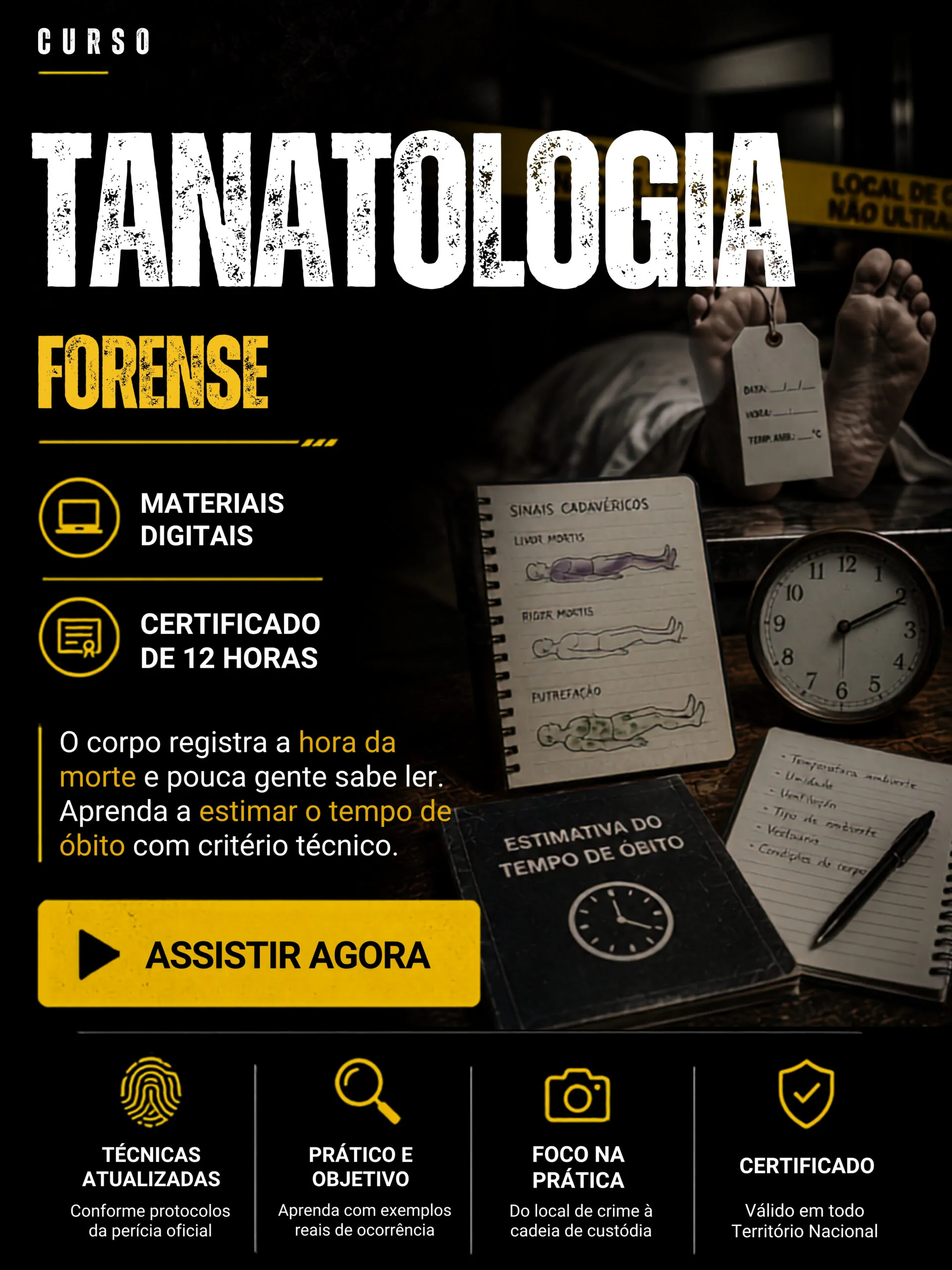 Curso 4 da biblioteca forense