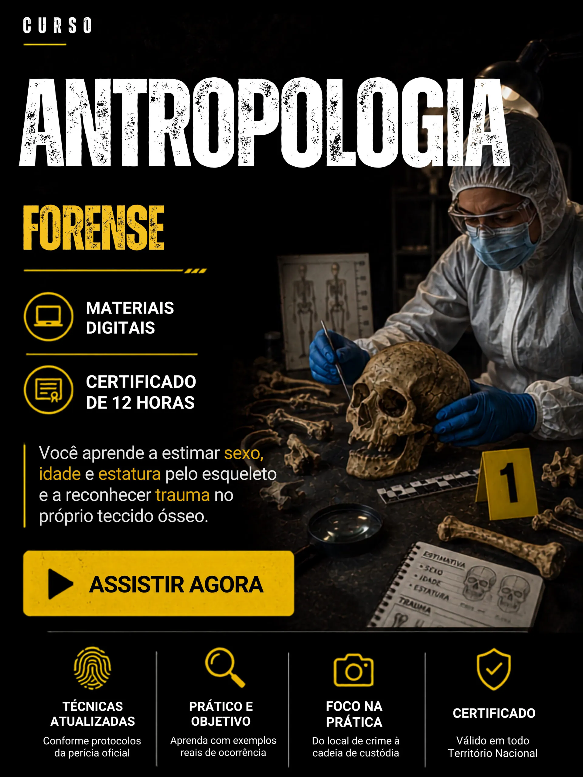 Curso 6 da biblioteca forense