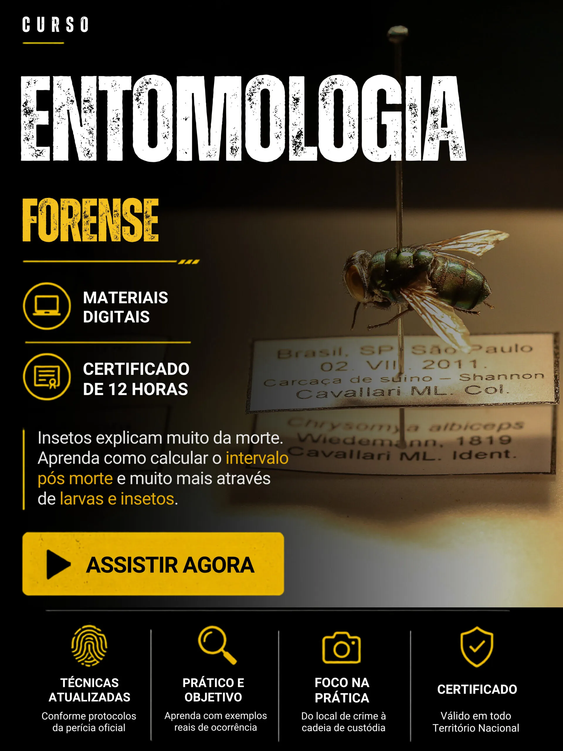 Curso 7 da biblioteca forense