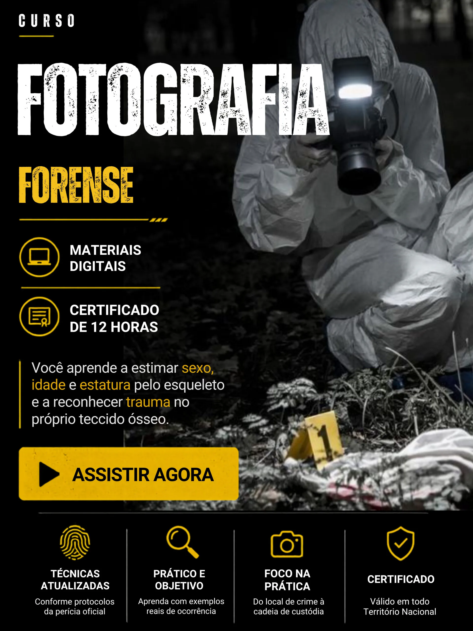 Curso 8 da biblioteca forense